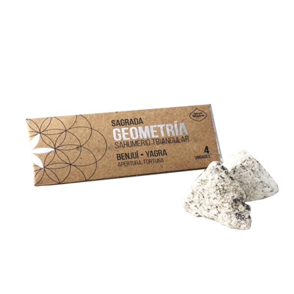 Geometría - Benjui Yagra