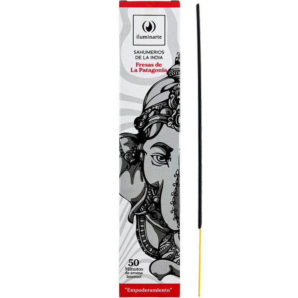 Iluminarte Sahumerios de la India - Fresas de la Patagonia (963IB)